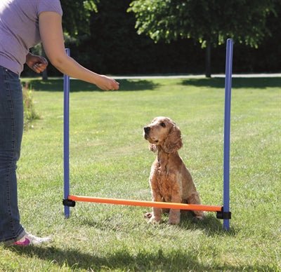 Trixie Dog Activity Agility Horde Blauw / Oranje - Best4pets.nl