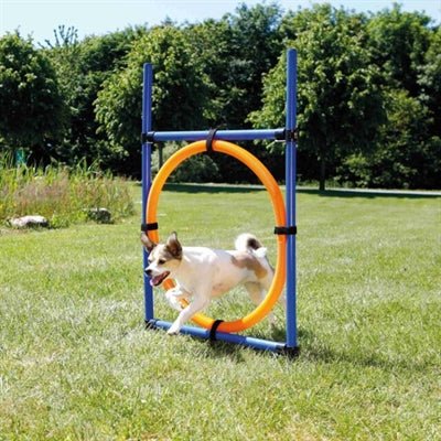 Trixie Dog Activity Agility Ring Blauw / Oranje - Best4pets.nl