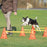 Trixie Dog Activity Hordenset - Best4pets.nl