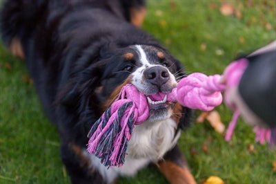 Trixie Flostouw 3 Knoop Blauw - Best4pets.nl