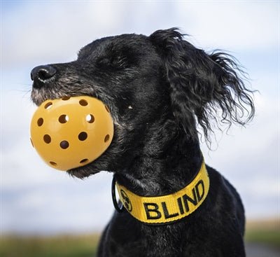 Trixie Gatenbal Natuurrubber Met Bel Voor Blinde Of Gehandicapte Hond 7X7X7 CM - Best4pets.nl