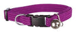 Trixie Halsband Kat Elastisch Assorti - Best4pets.nl