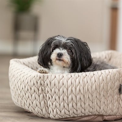 Trixie Hondenmand Livia Rond Zand - Best4pets.nl