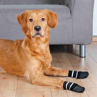 Trixie Hondensokken Anti - Slip Met Rubberlaag Rondom Zwart - Best4pets.nl