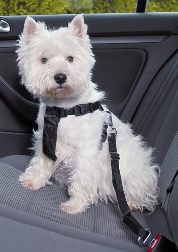 Trixie Hondentuig Auto Incl Gordel Zwart - Best4pets.nl