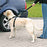 Trixie Hondentuig Auto Inclusief Gordel Zwart - Best4pets.nl