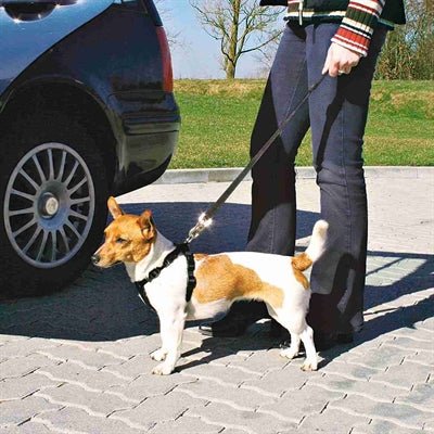 Trixie Hondentuig Auto Inclusief Gordel Zwart - Best4pets.nl