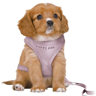 Trixie Hondentuig Junior Puppy Softtuig Met Riem Lila 36 - 50X1 CM / 2 MTR - Best4pets.nl