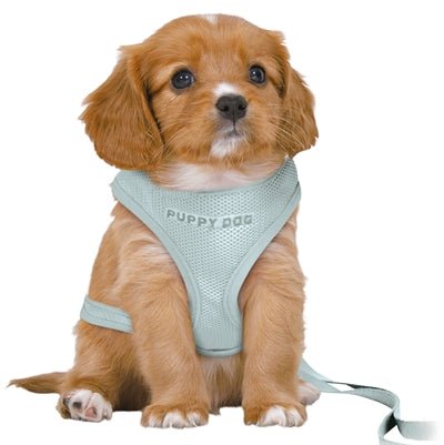 Trixie Hondentuig Junior Puppy Softtuig Met Riem Mintgroen 36 - 50X1 CM / 2 MTR - Best4pets.nl