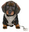 Trixie Junior Puppytuig Soft Met Riem Lichtgrijs 26 - 34X1 CM / 2 MTR - Best4pets.nl