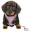 Trixie Junior Puppytuig Soft Met Riem Lila 26 - 34X1 CM / 2 MTR - Best4pets.nl