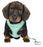 Trixie Junior Puppytuig Soft Met Riem Mintgroen 26 - 34X1 CM / 2 MTR - Best4pets.nl