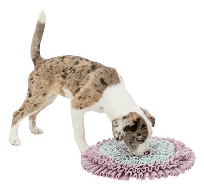 Trixie Junior Snuffelmat Zacht Roze / Mintgroen / Grijs 38X38 CM - Best4pets.nl