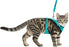 Trixie Kattentuig Mesh Y - Vorm Met Elastische Riem Assorti 36 - 60X100 CM - Best4pets.nl