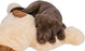 Trixie Knuffel Hondbenny Pluche Beige / Bruin 75 CM - Best4pets.nl