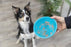 Trixie Lick'n'snack Hondenvoerbak Silicone - Best4pets.nl