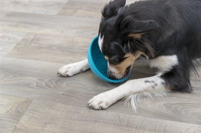 Trixie Lick'n'snack Hondenvoerbak Silicone - Best4pets.nl