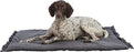 Trixie Ligmat Amelie Donkergrijs - Best4pets.nl