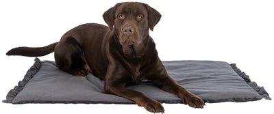 Trixie Ligmat Amelie Donkergrijs - Best4pets.nl