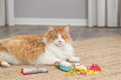 Trixie Muis Pluche Met Catnip Assorti - Best4pets.nl