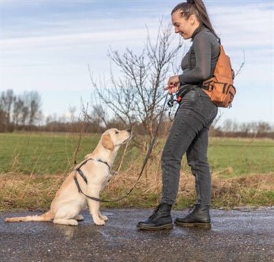 Trixie Rolltop Rugtas Met Heuptas Met Riem Roest - Best4pets.nl