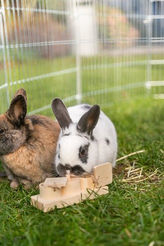 Trixie Snack Cups Voor Ratten En Konijnen Hout - Best4pets.nl