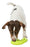 Trixie Snack - Slang Tpr Opgerold 18 CM - Best4pets.nl