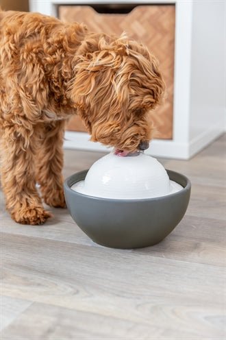 Trixie Vital Dome Drinkfontein Keramiek Grijs / Wit - Best4pets.nl