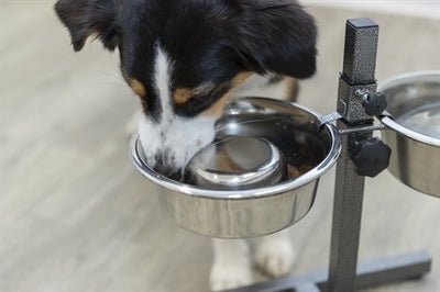 Trixie Voerbak Hond Slow Feeding Rvs - Best4pets.nl