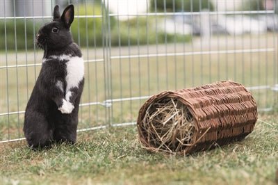 Trixie Wilgentunnel Konijn 38X20X20 CM - Best4pets.nl