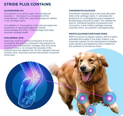 Trm Stride Plus - Best4pets.nl