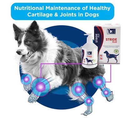 Trm Stride Plus - Best4pets.nl