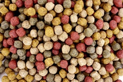 Utopia Diertotaal Vijverkorrel Drijvend 6 MM 2 KG - Best4pets.nl