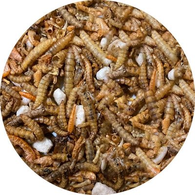 Utopia Insectenmix - Best4pets.nl