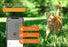 Weenect Tracker Kat Wit - Best4pets.nl