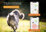 Weenect Tracker Kat Wit - Best4pets.nl