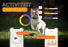 Weenect Tracker Kat Zwart - Best4pets.nl