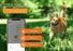 Weenect Tracker Kat Zwart - Best4pets.nl