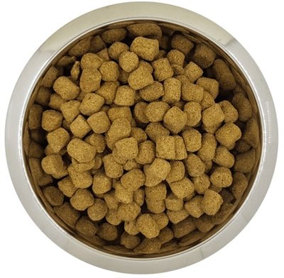 Yourdog Koningspoedel Senior 12 KG - Best4pets.nl